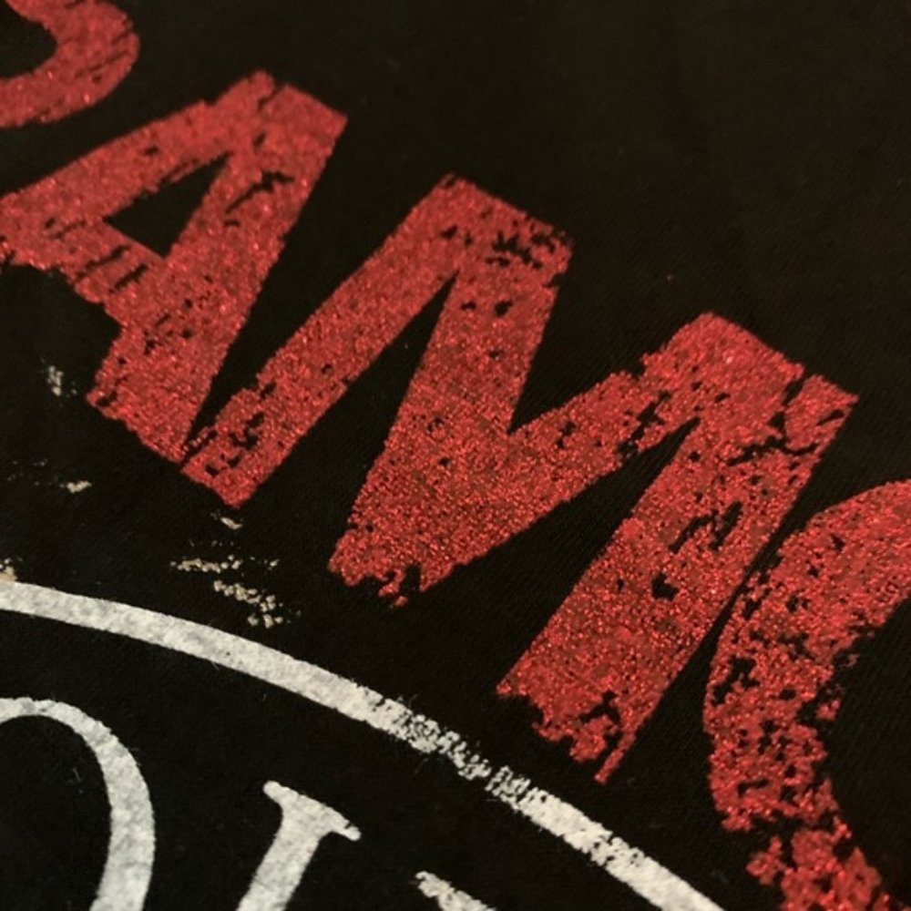 Ramones Punk Rock Music Band Graphic Tee - Picture 8 of 9